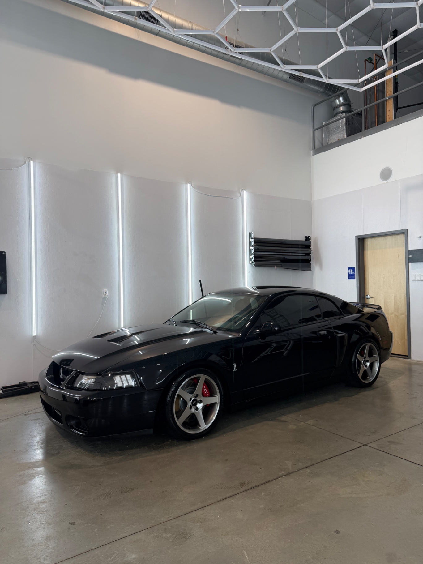 Ford Mustang Cobra black paint correction in studio Shrewsbury MA